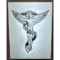 Chiropractic Caduceus Image