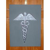 Medical Caduceus Painting - Medical Art Image