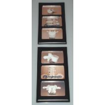 Chiropractic: Health & Wellness - Chiropractic Art Image